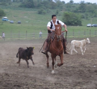 Fiesta del Mercado 
